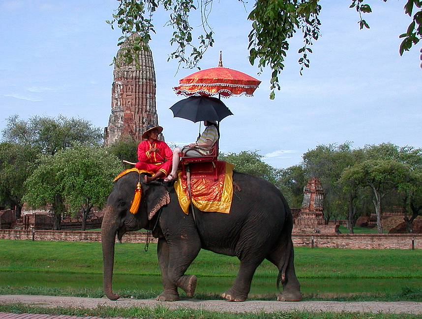 Elephant - Elefant
